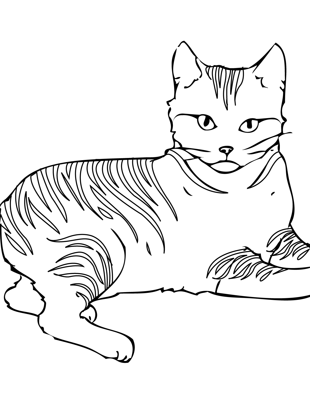 Cats 8